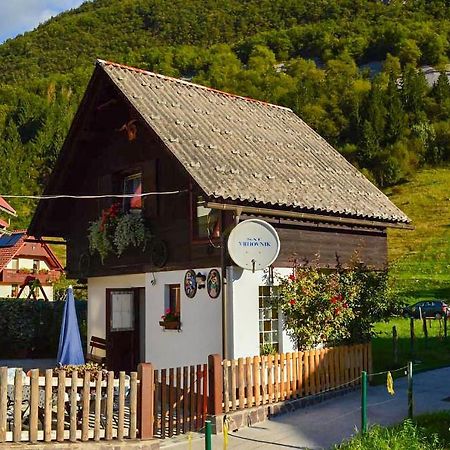 Apartmaji Bohinj Exteriér fotografie
