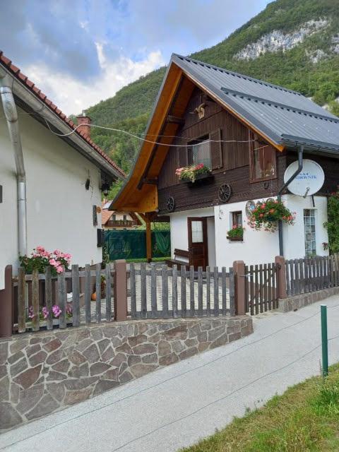 Apartmaji Bohinj Exteriér fotografie